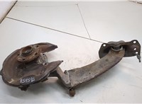5K0498621, 3C0505434G, 5N0615612D Ступица (кулак, цапфа) Volkswagen Tiguan 2011-2018 21391018 #1