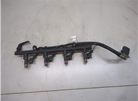  Форсунка топливная Renault Megane 2 2002-2009 21392667 #1
