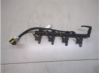  Форсунка топливная Renault Megane 2 2002-2009 21392667 #2