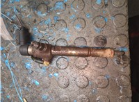  Форсунка топливная Renault Scenic 2009-2012 21394663 #1