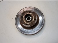  Ступица (кулак, цапфа) Renault Megane 2 2002-2009 21395362 #4