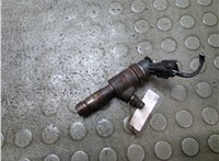 0445110489 Форсунка топливная Ford Fiesta 2012-2019 21399437 #1