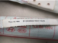  Подушка безопасности боковая (шторка) Hyundai Tucson 3 2015-2021 21409184 #2