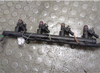  Форсунка топливная Renault Megane 3 2009-2016 21409321 #1