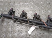  Форсунка топливная Renault Megane 3 2009-2016 21409688 #1