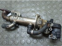  Охладитель отработанных газов Ford Galaxy 2006-2010 11936157 #1