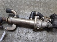  Охладитель отработанных газов Ford Galaxy 2006-2010 11936157 #5