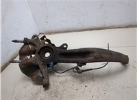 GAM633021, GAM633047C, GP9A33060B Ступица (кулак, цапфа) Mazda 6 (GH) 2007-2012 8285892 #10