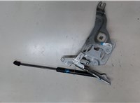 41007198617 Петля капота BMW X6 E71 2007-2014 8371357 #4