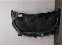 5330113050 Капот Toyota Corolla Verso 2002-2004 8429422 #7