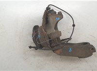 3307A5, 3647A0, 3647A4, 4209E1 Ступица (кулак, цапфа) Citroen Jumper (Relay) 2006-2014 8443061 #3