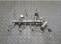 023420007 Рампа (рейка) топливная Porsche Panamera 2009-2016 8468605 #1