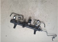  Рампа (рейка) топливная Ford Galaxy 2010-2015 8502704 #1