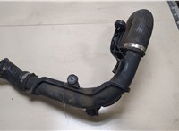  Патрубок интеркулера Volkswagen Passat 6 2005-2010 8509846 #1