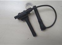 NEC100630 Катушка зажигания Land Rover Freelander 1 1998-2007 8516300 #1