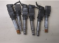 022905715E Катушка зажигания Volkswagen Atlas 2017-2020 8517844 #1