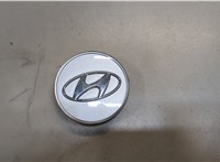 529603K210 Колпачок литого диска Hyundai Sonata NF 2005-2010 8527494 #1