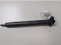 28489548 Форсунка топливная Chevrolet Captiva 2015-2018 8532391 #1