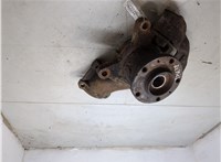 330784, 364782 Ступица (кулак, цапфа) Peugeot Boxer 2002-2006 8585547 #5