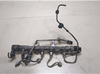 0281006075 Рампа (рейка) топливная Seat Ibiza 4 2008-2015 8600558 #1