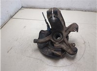 6N0407255B, 6N0498625 Ступица (кулак, цапфа) Volkswagen Polo 1999-2001 8607212 #6