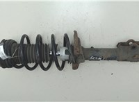 1713956, 8V5118K001BG, 1547179, 8V515310EC Амортизатор подвески Ford Fiesta 2008-2013 8621487 #9