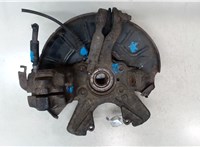 1K0407256P, 1T0498621 Ступица (кулак, цапфа) Volkswagen Jetta 5 2004-2010 8622027 #4