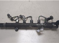 A6510700495 Рампа (рейка) топливная Mercedes Sprinter 2006-2018 8633467 #1
