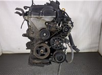 103N12BU00 Двигатель (ДВС) Hyundai i30 2007-2012 8660168 #1