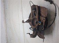 A1633340010 Ступица (кулак, цапфа) Mercedes ML W163 1998-2004 8688250 #5