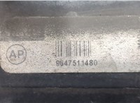 9647511480 Радиатор охлаждения двигателя Peugeot 206 8696083 #5