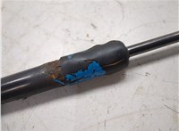 844300009R Амортизатор крышки багажника Renault Megane 3 2009-2016 8709820 #4