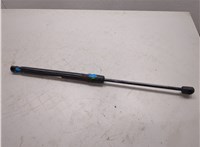 844300009R Амортизатор крышки багажника Renault Megane 3 2009-2016 8709821 #3