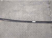 51138184478 Молдинг двери BMW 5 E39 1995-2003 8715355 #1