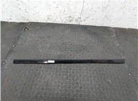 51138184478 Молдинг двери BMW 5 E39 1995-2003 8715355 #1