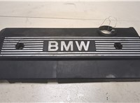 1710781 Накладка декоративная на ДВС BMW X5 E53 2000-2007 8717307 #1