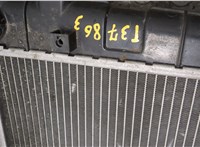  Радиатор охлаждения двигателя KIA Sportage 2004-2010 8721165 #2