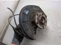1K0407255AA, 1K0407621F Ступица (кулак, цапфа) Volkswagen Tiguan 2007-2011 8736994 #6