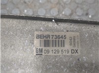 09129519dx Радиатор интеркулера Opel Astra G 1998-2005 8799611 #2