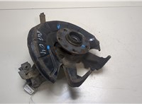 1K0407255T, 1K0407621F Ступица (кулак, цапфа) Seat Leon 2 2009-2012 8799769 #5