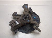 1K0407255T, 1K0407621F Ступица (кулак, цапфа) Seat Leon 2 2009-2012 8799769 #6