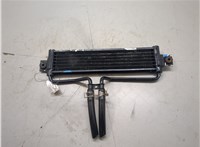 254604H000 Радиатор масляный Hyundai H-1 Starex 2007-2021 8801156 #5
