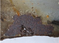 1Z0821105A Крыло Skoda Octavia (A5) 2004-2013 8801918 #8