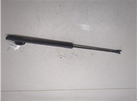 90450JD01B Амортизатор крышки багажника Nissan Qashqai 2006-2013 8817828 #6