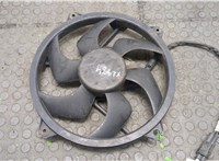  Вентилятор радиатора Peugeot 407 8828235 #1