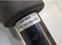  Амортизатор подвески Mercedes GL X164 2006-2012 8840933 #3
