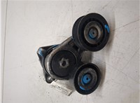 0100360101 Натяжитель приводного ремня Ford C-Max 2002-2010 8849443 #5