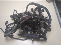  Жгут проводов управления двигателем Iveco Stralis 2012- 8876750 #1