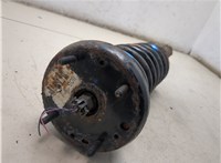 XR812982, XR811164 Амортизатор подвески Jaguar S-type 8881870 #6