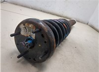 XR812982, XR811164 Амортизатор подвески Jaguar S-type 8881878 #7
